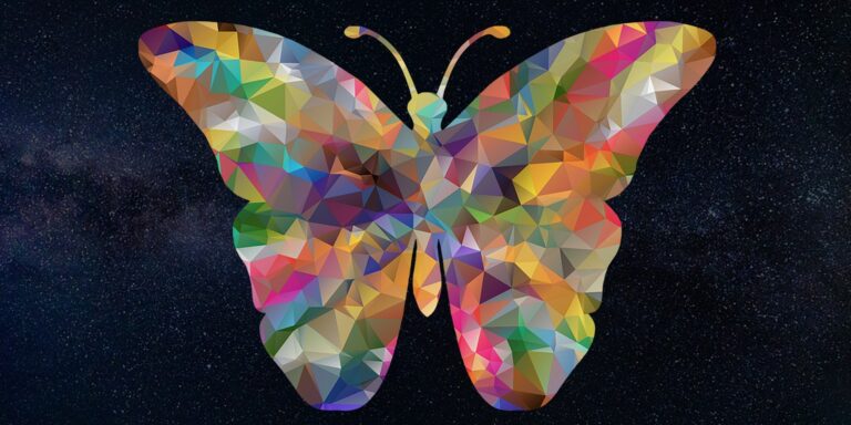 butterfly effect